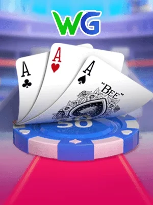 zwin Game 04